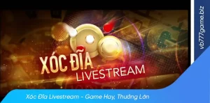 Các mẹo chơi xóc đĩa livestream luôn thắng